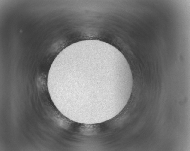 X0000081320672200701181930