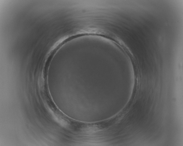 X0000081320674200701181929
