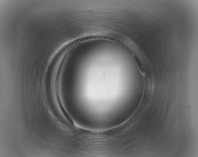 X0000081320676200701181929