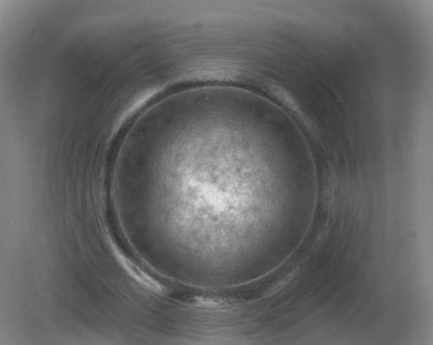 X0000081320677200701181929