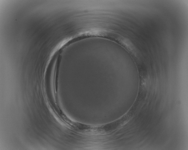 X0000081320678200701181929