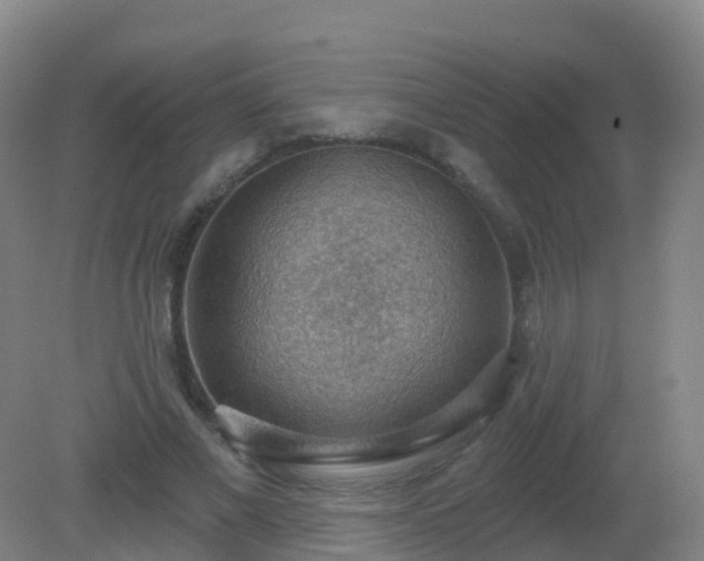 X0000081320685200701181929