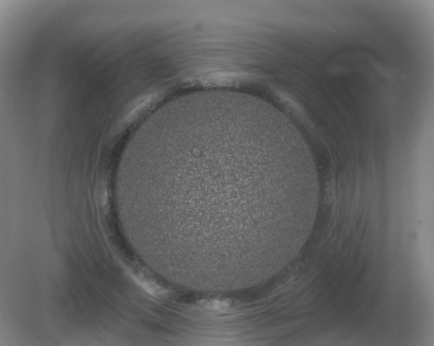 X0000081320687200701181929