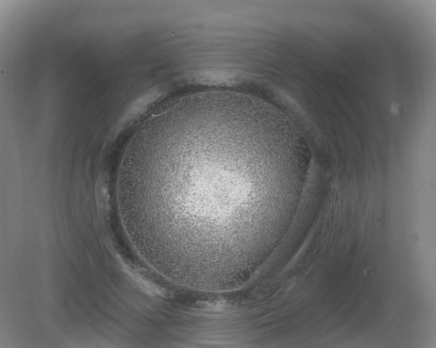 X0000081320688200701181929