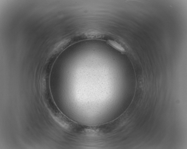 X0000081320690200701181929