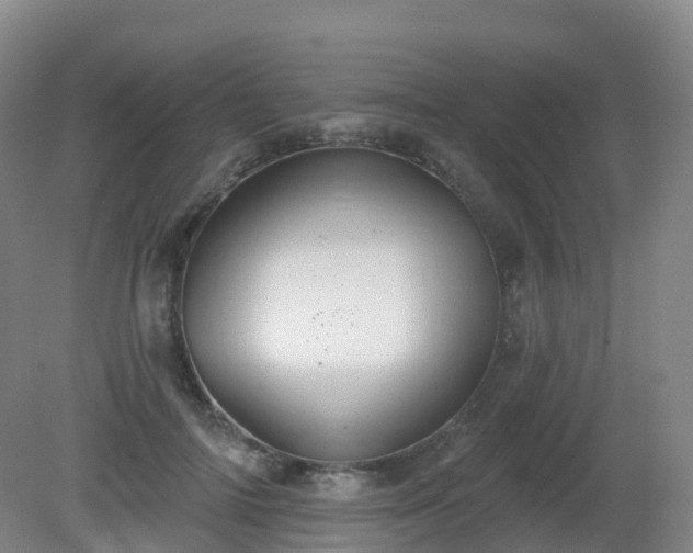 X0000081320698200701181928