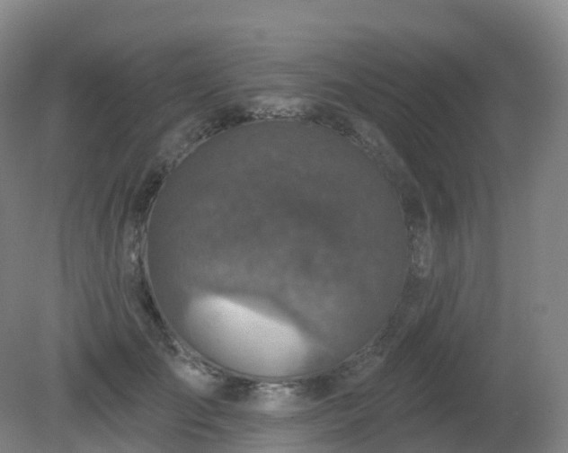 X0000081320701200701181928