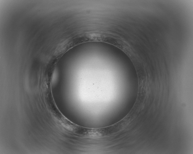 X0000081320702200701181928