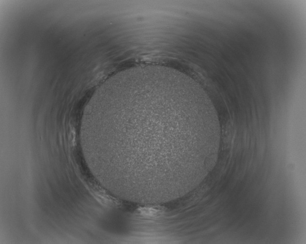 X0000081320703200701181928