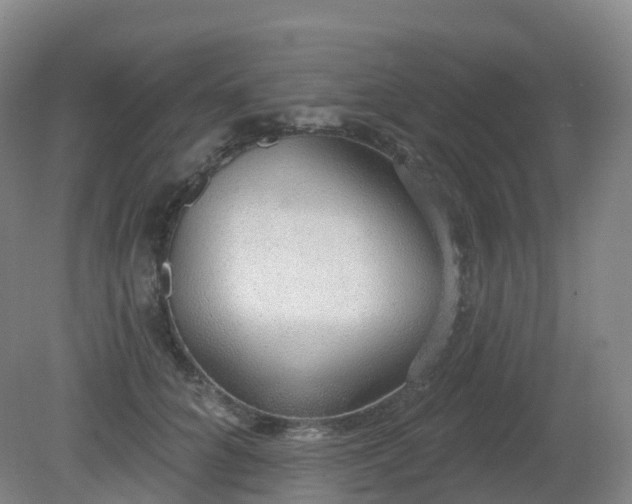 X0000081320704200701181928