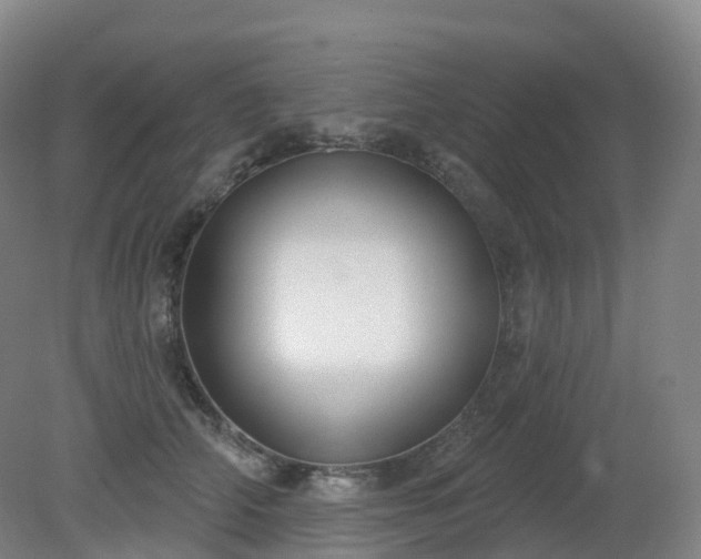 X0000081320706200701181928