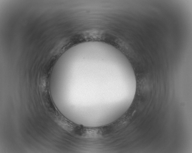 X0000081320709200701181928