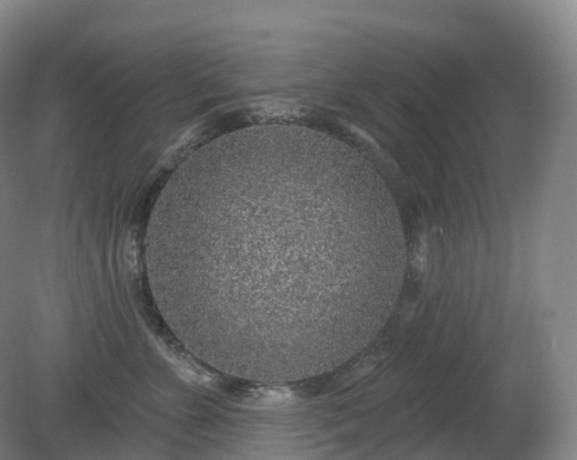 X0000081320715200701181928