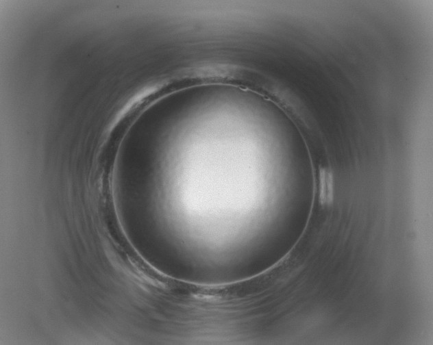 X0000081320723200701181927