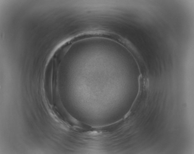X0000081320724200701181927
