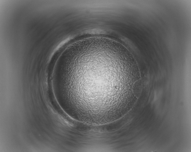 X0000081320727200701181927