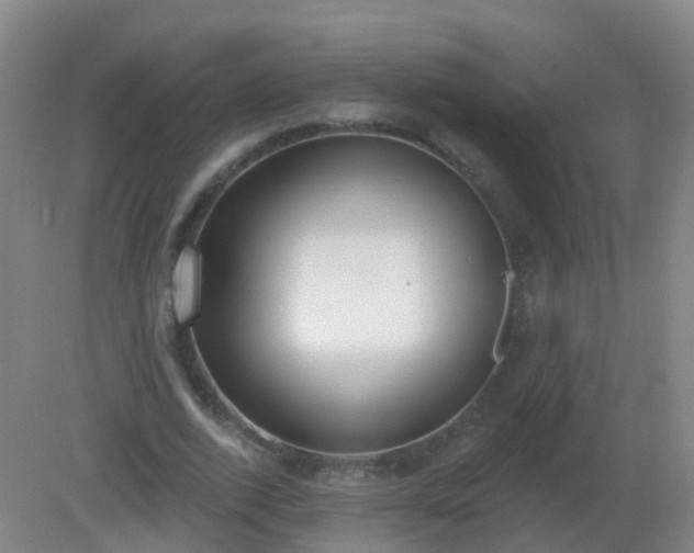 X0000081320728200701181927
