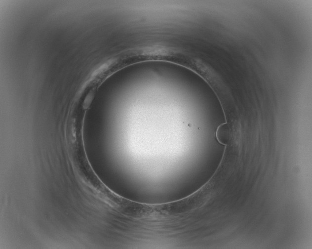 X0000081320731200701181927