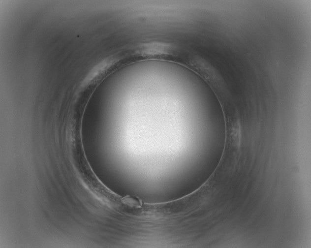 X0000081320732200701181927
