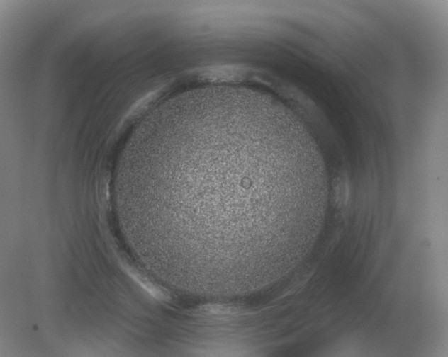 X0000081320733200701181927