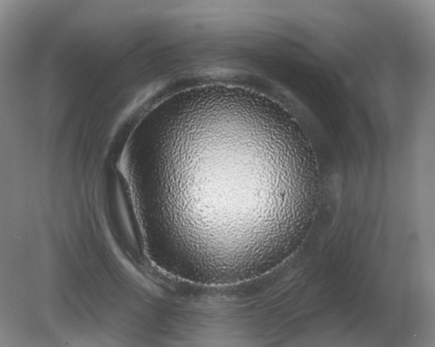 X0000081320734200701181927