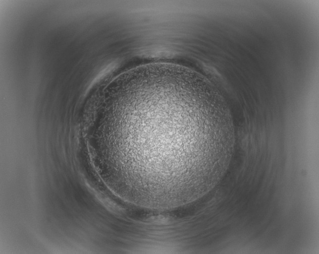 X0000081320735200701181927
