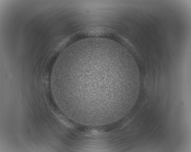 X0000081320737200701181928