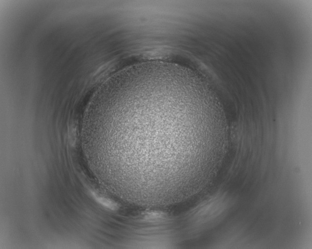 X0000081320741200701181928