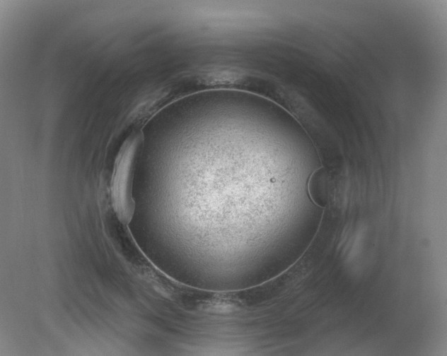 X0000081320743200701181928