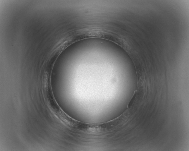 X0000081320744200701181928