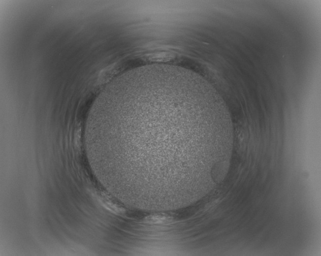 X0000081320745200701181928
