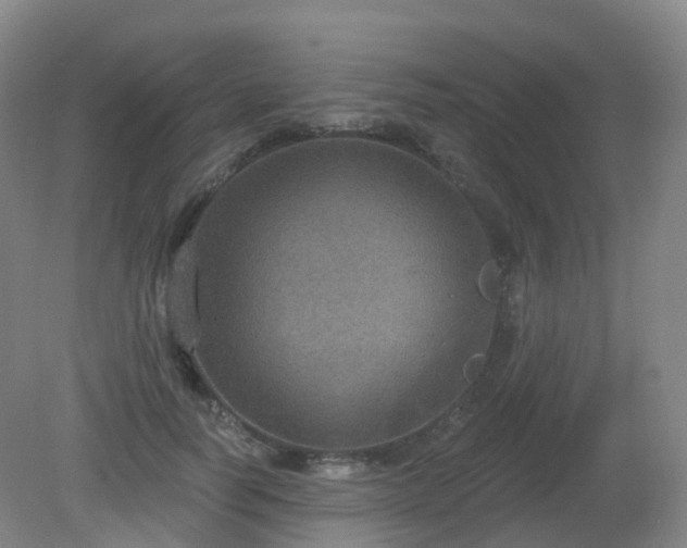 X0000081320746200701181928