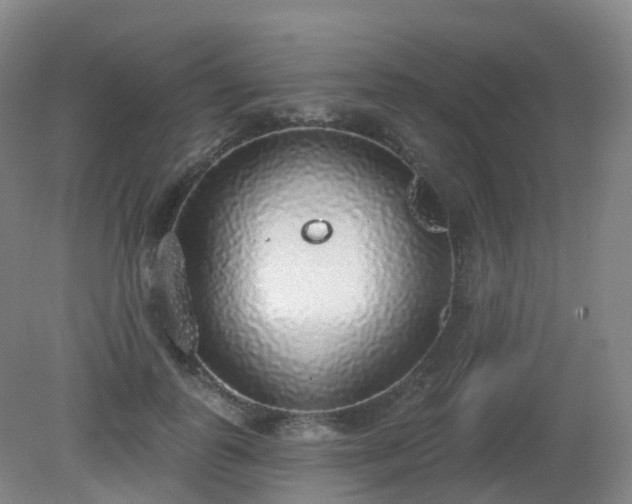 X0000081320747200701181928