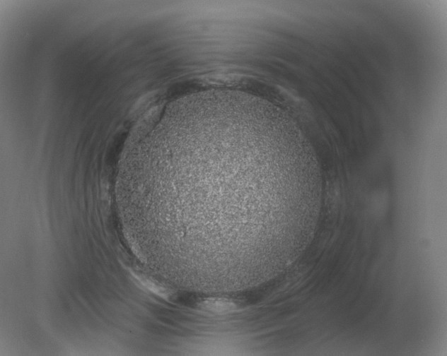 X0000081320749200701181928