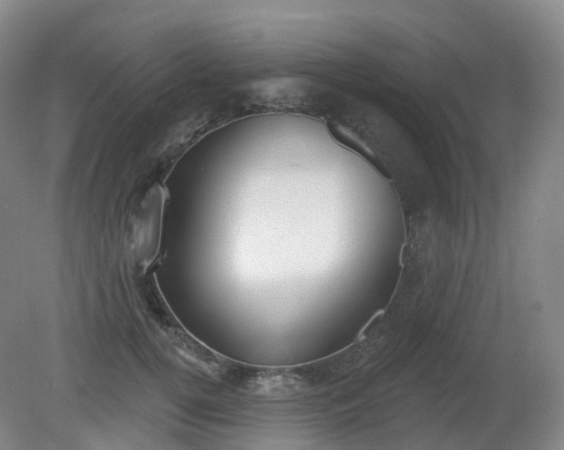 X0000081320752200701181928