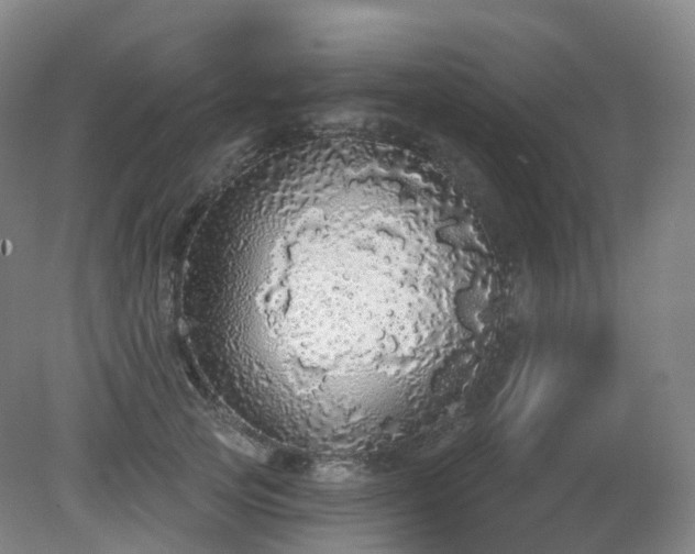 X0000081320753200701181928