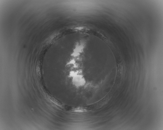 X0000081320754200701181928