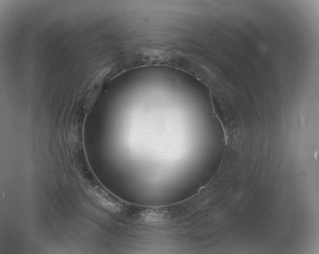 X0000081320756200701181928