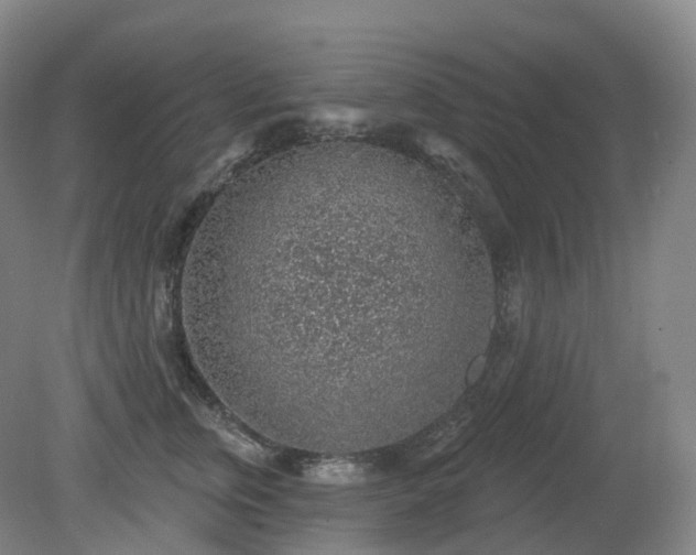 X0000081320759200701181928