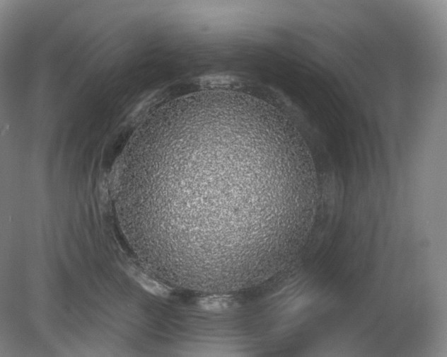 X0000081320761200701181928