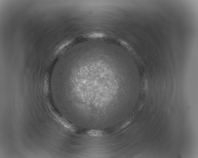 X0000081320762200701181928