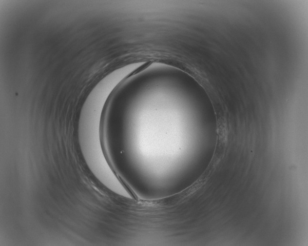 X0000081320766200701181928