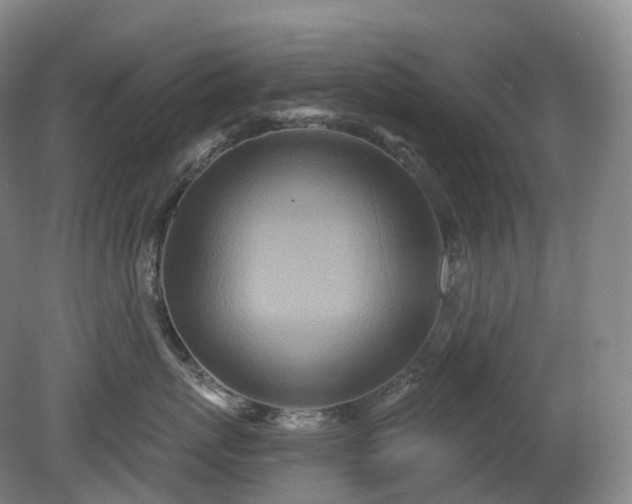 X0000081320767200701181928