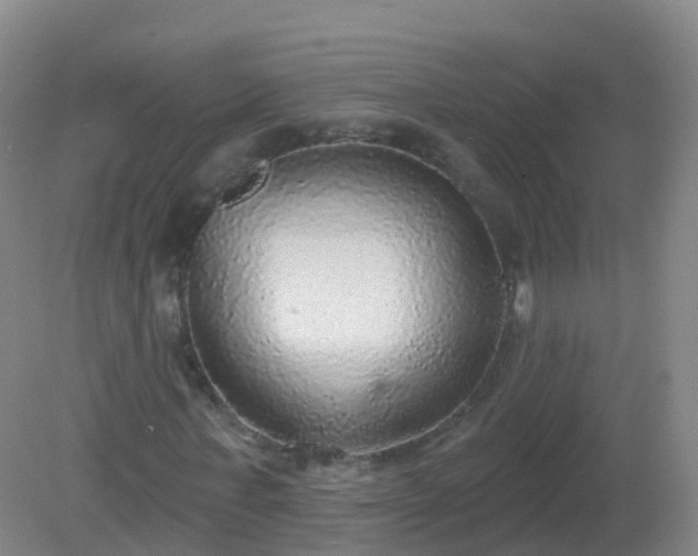 X0000081320771200701181927