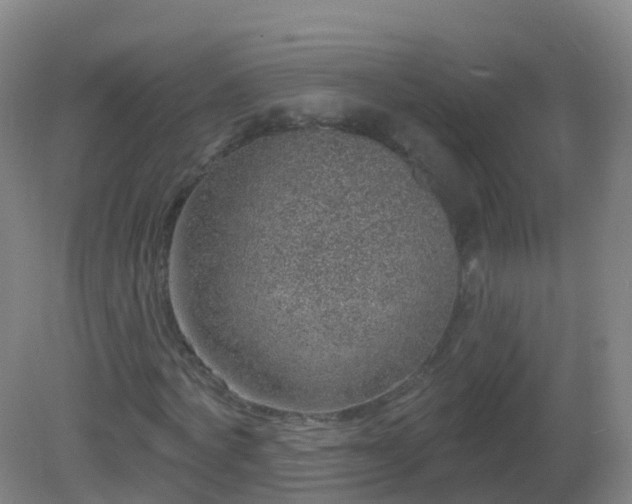 X0000081320772200701181927