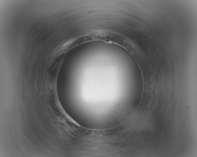 X0000081320773200701181927
