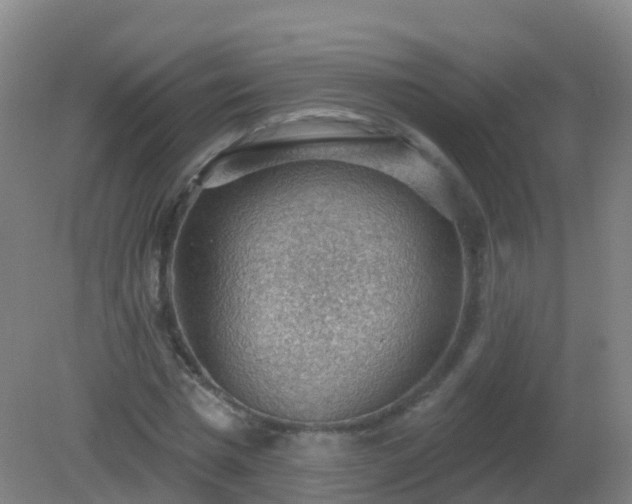 X0000081320777200701181927