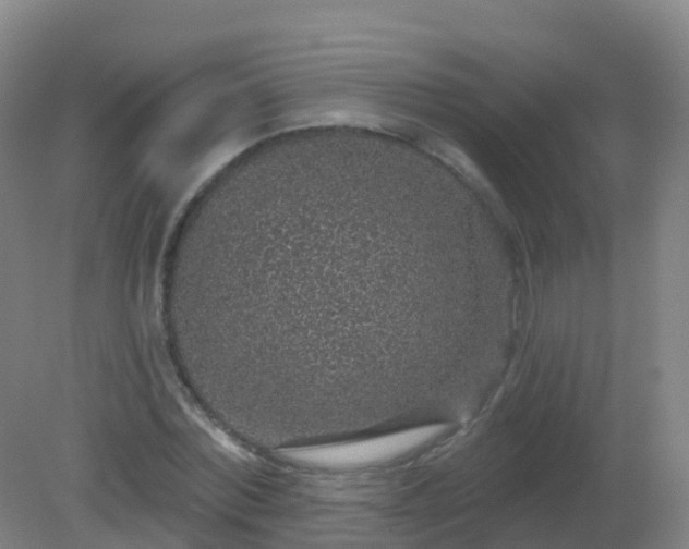 X0000081320780200701181927