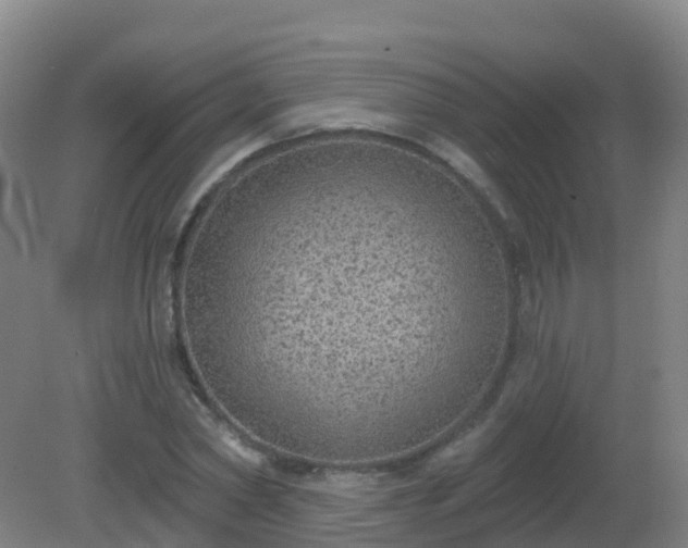 X0000081320782200701181927