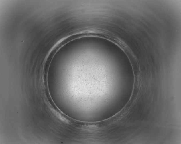 X0000081320784200701181927